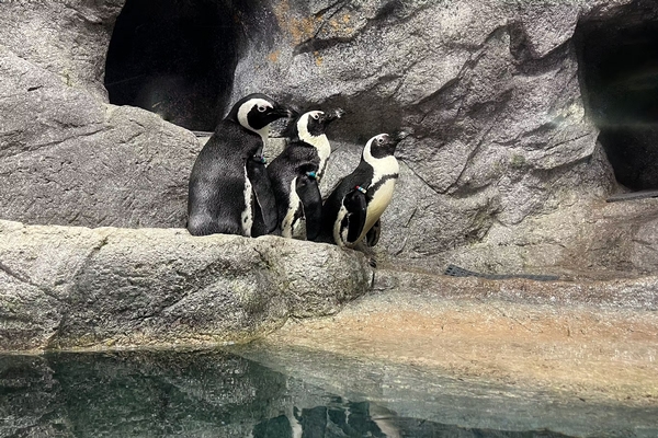 The Florida Aquarium Image #2