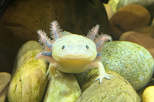 The Florida Aquarium Image #4