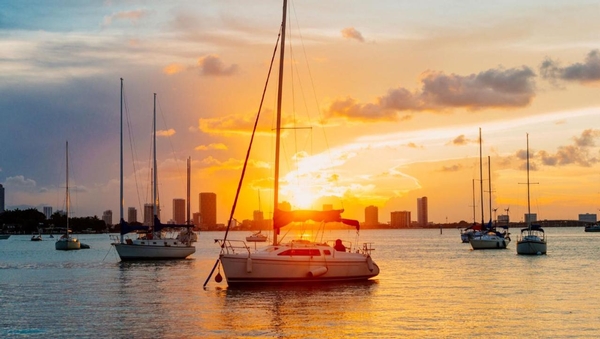 Kimpton - Hotel Palomar South Beach by IHG Image #11 Kimpton - Hotel Palomar South Beach by IHG Image #11