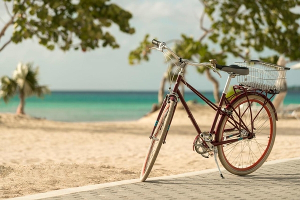 Kimpton - Hotel Palomar South Beach by IHG Image #27 Kimpton - Hotel Palomar South Beach by IHG Image #27