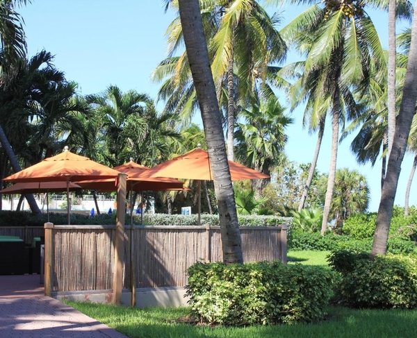 Holiday Inn Miami Beach-Oceanfront by IHG Image #2