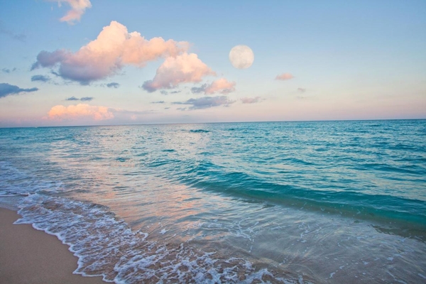 Holiday Inn Miami Beach-Oceanfront by IHG Image #36