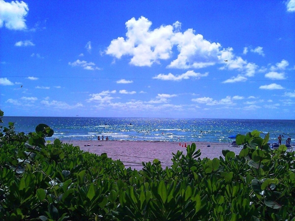 Holiday Inn Miami Beach-Oceanfront by IHG Image #38