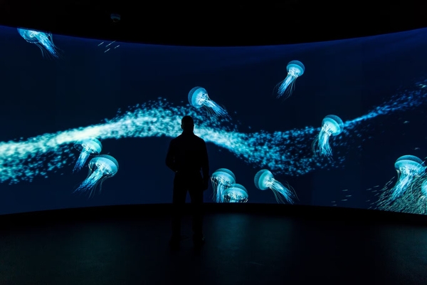 Phillip & Patricia Frost Museum of Science Image #12