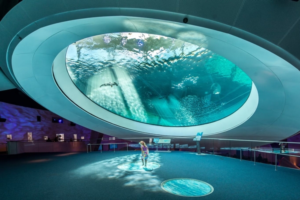 Phillip & Patricia Frost Museum of Science Image #16