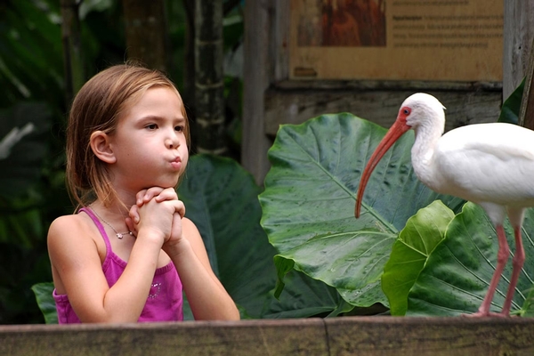 Flamingo Gardens Image #7